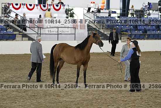 Proof 10r14_2586