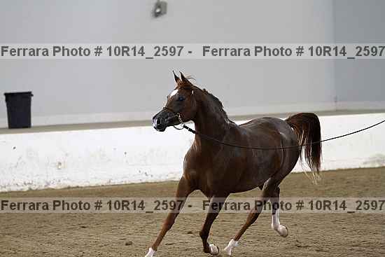 Proof 10r14_2597