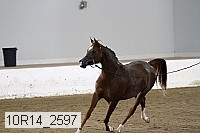 10r14_2597 proof