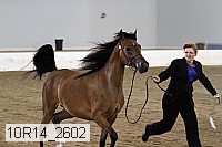10r14_2602 proof
