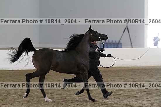 Proof 10r14_2604