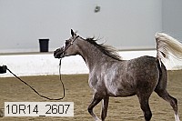 10r14_2607 proof