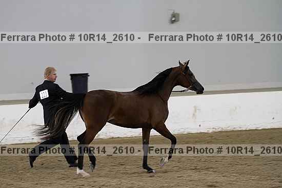 Proof 10r14_2610