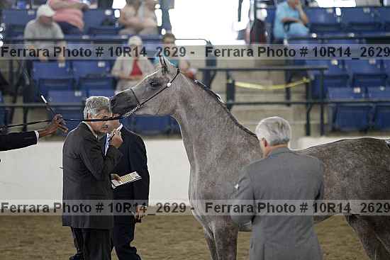 Proof 10r14_2629
