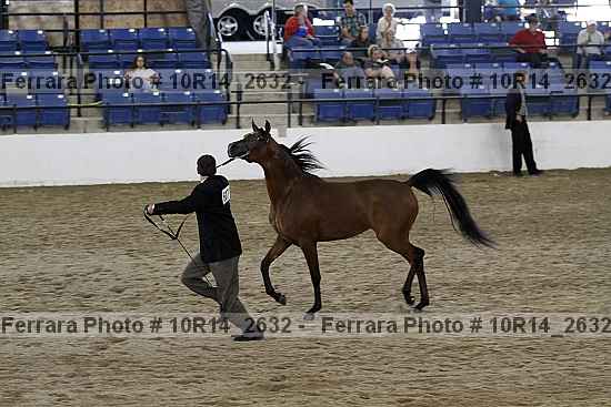 Proof 10r14_2632