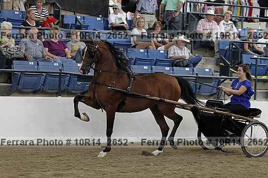 Proof 10r14_2652