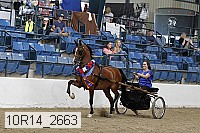 10r14_2663 proof