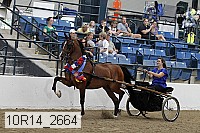 10r14_2664 proof