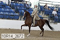 10r14_2672 proof