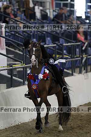 Proof 10r14_2686