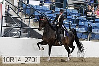 10r14_2701 proof