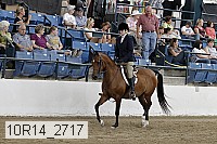 10r14_2717 proof