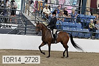 10r14_2728 proof