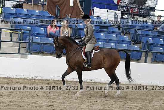 Proof 10r14_2733