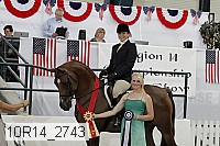 10r14_2743 proof