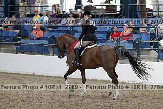 Proof 10r14_2769