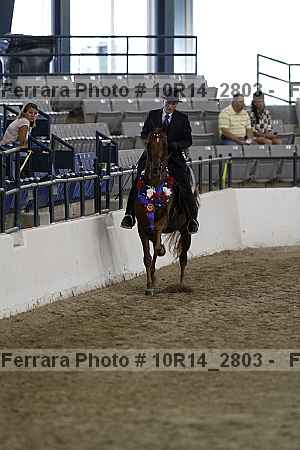 Proof 10r14_2803