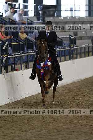 Proof 10r14_2804
