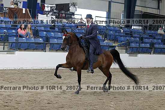 Proof 10r14_2807