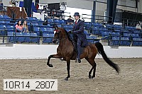 10r14_2807 proof