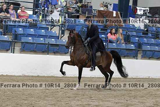 Proof 10r14_2808