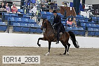 10r14_2808 proof