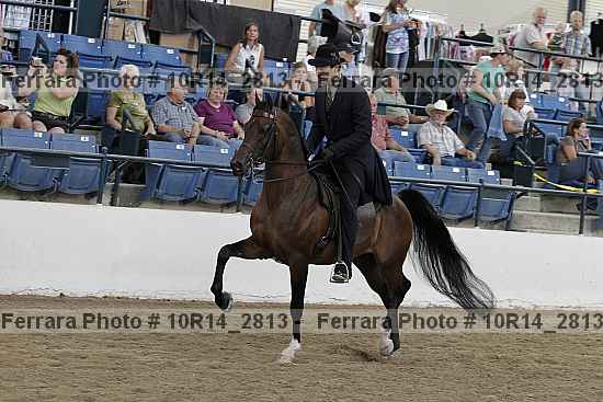 Proof 10r14_2813