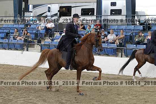 Proof 10r14_2818