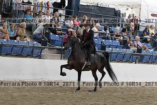Proof 10r14_2871