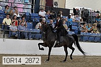 10r14_2872 proof