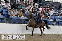 10r14_2875 proof