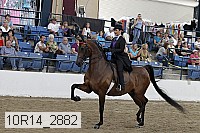 10r14_2882 proof