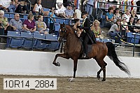10r14_2884 proof