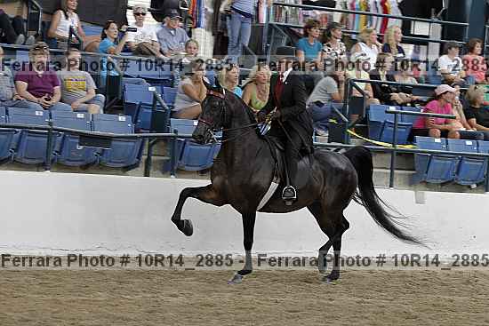 Proof 10r14_2885