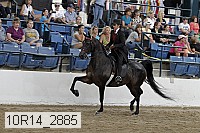 10r14_2885 proof