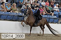 10r14_2888 proof
