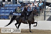 10r14_2889 proof