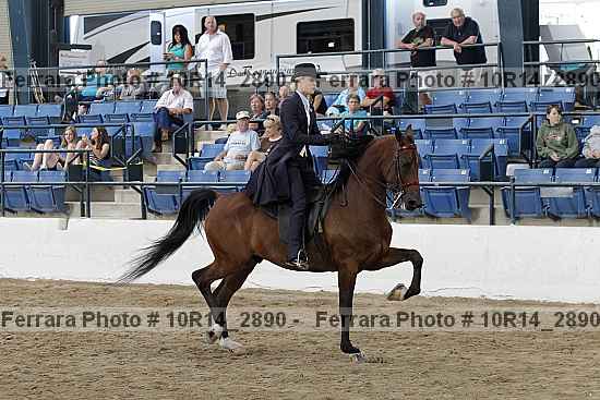 Proof 10r14_2890
