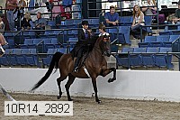 10r14_2892 proof