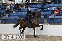 10r14_2893 proof