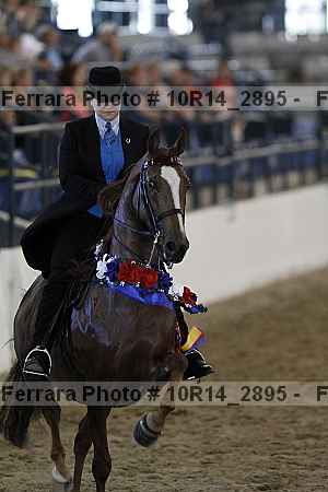 Proof 10r14_2895