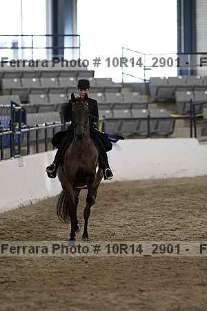 Proof 10r14_2901
