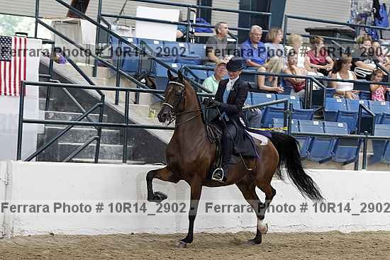 Proof 10r14_2902