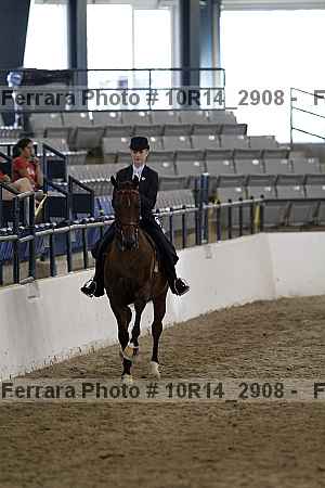 Proof 10r14_2908