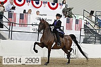10r14_2909 proof