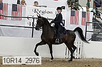 10r14_2976 proof
