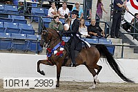 10r14_2989 proof