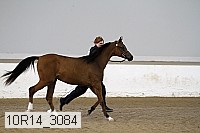 10r14_3084 proof