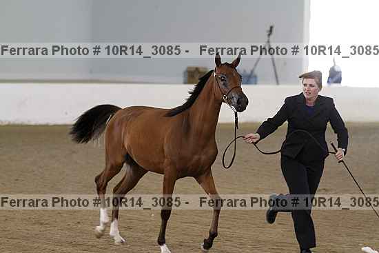 Proof 10r14_3085