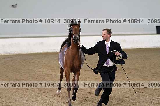Proof 10r14_3095